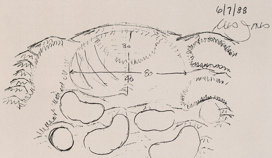 south course redesign plans